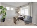 Bright office space with neutral paint, carpet, desk, and modern decor at 4211 Sandstone Dr, Mead, CO 80504
