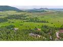 Expansive land featuring lush greenery and mountain views at 14271 Timber Trl, Larkspur, CO 80118