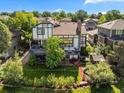 Expansive backyard featuring a multi-level deck, mature trees, and lush landscaping, ideal for outdoor living at 1175 Oakhurst Dr, Broomfield, CO 80020