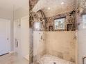The marble-tiled shower features dual shower heads and frosted glass at 5603 Twilight Way, Parker, CO 80134