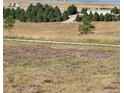 Expansive lot with golden fields, scattered trees, and a glimpse of distant buildings at 2981 Rock Cir, Elizabeth, CO 80107