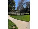 Community pool with a fully fenced in area and grassy lawn at 13043 W 20Th Ave, Golden, CO 80401