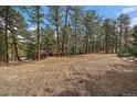 Expansive, wooded backyard offering privacy and a natural setting at 28630 Pine Dr, Evergreen, CO 80439