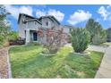 Beautiful home with a well-maintained lawn and mature landscaping, creating great curb appeal at 9595 Marmot Ridge Cir, Littleton, CO 80125