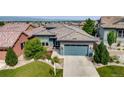 Beautiful home with manicured lawn, complemented by a large driveway and lush landscaping at 817 Backcountry Ln, Highlands Ranch, CO 80126