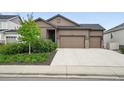 Charming single-Gathering home with a three-car garage and well-maintained front yard at 5670 Pinto Valley St, Parker, CO 80134