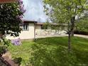 A spacious backyard shows a lush lawn surrounded by mature trees and blooming lilac bushes at 6085 Simms St, Arvada, CO 80004