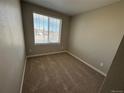 Cozy bedroom features neutral paint, plush carpet, and a large window overlooking the street at 18328 E 93Rd Pl, Commerce City, CO 80022