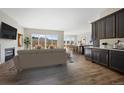 Open-concept living space with large windows, hardwood floors, a fireplace, and stylish decor, perfect for entertaining at 17054 Hop Clover Ave, Parker, CO 80134