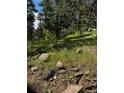 Wooded lot featuring lush greenery, scattered rocks, and mature trees at 27447 Upper Cold Spg Gulch Rd, Golden, CO 80401