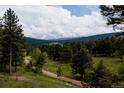 Scenic view of the lush landscape, showcasing the beauty of the surrounding nature with a dirt road at 8626 Junco Trl, Evergreen, CO 80439