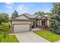 Landscaped single-Gathering home featuring a well-manicured lawn, two-car garage, and inviting entrance at 10553 Stonemeadow Dr, Parker, CO 80134
