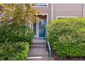 Inviting front entrance with glass paneled door and lush green bushes at 3847 Mossy Rock Dr # 104, Highlands Ranch, CO 80126