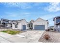 A beautifully designed single-story home with a two-car garage and a well-manicured lawn at 4797 Saddle Iron Rd, Castle Rock, CO 80104
