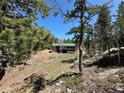 Exterior view of cabin with green roof and beautiful forest surroundings from rocky and wooded vantage point at 72 Rudi W Ln, Golden, CO 80403