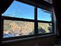 Scenic view of the surrounding mountains and evergreens at 26212 Center Dr, Kittredge, CO 80457