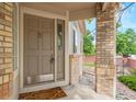 Close-up of front door with sidelight, showcasing a welcoming entrance and stylish details at 9432 La Quinta Way, Lone Tree, CO 80124
