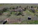 Spacious land featuring a lovely ranch home with outbuildings, set amid rolling green fields and mature trees at 7409 S County Road 157, Strasburg, CO 80136