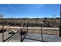 Breathtaking view from the balcony overlooking green space, walking trail, and a pedestrian bridge at 1236 N Tennyson St, Denver, CO 80204