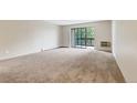 Spacious living room featuring carpet and large sliding glass doors to a balcony at 14152 E Linvale Pl # 408, Aurora, CO 80014
