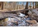 Scenic backyard creek with a charming wooden bridge, lush trees, and picturesque setting at 10179 S Turkey Creek Rd, Morrison, CO 80465