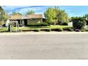 Nice single story home with a new lawn and updated landscaping with a backdrop of mature trees at 3531 E 91St Ave, Thornton, CO 80229