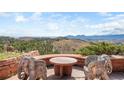 Outdoor patio featuring unique elephant-shaped chairs and a round table with a scenic mountain view at 393 Dixon Rd, Boulder, CO 80302
