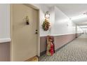 Well-lit hallway with neutral carpet and decor, creating a welcoming entrance to unit at 13635 E Bates Ave # 406, Aurora, CO 80014