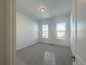 Cozy bedroom featuring neutral carpeting and ample natural light at 3904 Treadway Pt, Castle Rock, CO 80108