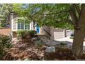 Charming front entrance with a blue door, stone steps, and mature trees at 2587 Foothills Canyon Ct, Highlands Ranch, CO 80129