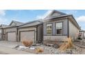 Home exterior showcasing meticulous landscaping, gray color scheme, and a spacious driveway at 11884 Barrentine Loop, Parker, CO 80138