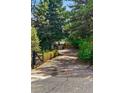 Long gravel driveway leading to a house, surrounded by mature trees at 182 Ridge Rd, Boulder, CO 80303