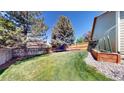 Large, green backyard with a wood fence and a garden area with raised beds ready for planting at 2980 E 135Th Dr, Thornton, CO 80241