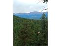Lush green trees and mountain vista creates a picturesque and peaceful setting at 4618 Se Summit Trl, Evergreen, CO 80439
