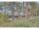 Secluded home surrounded by lush greenery, offering privacy and a tranquil setting amidst nature at 513 Mt Blue Sky Rd, Golden, CO 80401