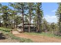 Secluded home featuring natural surroundings and mature trees at 513 Mt Blue Sky Rd, Golden, CO 80401
