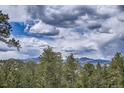 Stunning mountain views framed by lush trees and dramatic clouds, showcasing the natural beauty of the landscape at 513 Mt Blue Sky Rd, Golden, CO 80401