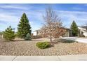 Well-maintained single-story home featuring manicured landscaping with rock ground cover and mature trees at 5480 Craftsman Dr, Parker, CO 80134