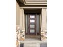 Close-up of a modern front door with glass panels, sidelights, and stone accents surrounding the entrance at 27500 E Lakeview Dr, Aurora, CO 80016