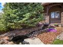 Close-up of a beautiful front yard featuring a pond with a small waterfall and lush greenery at 24273 E Fremont Dr, Aurora, CO 80016