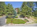 Beautiful two-story home with a well-manicured front yard and privacy from mature trees at 533 Tenderfoot Dr, Larkspur, CO 80118
