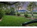 Expansive backyard featuring a well-maintained lawn, mature trees, and recreational equipment at 16667 Tin Cup Ct, Parker, CO 80134