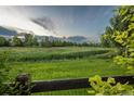 Scenic view of an open field with lush greenery and trees under a partly cloudy sky at 16667 Tin Cup Ct, Parker, CO 80134