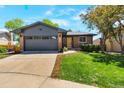 Beautiful front yard with lush green grass, mature trees, and a freshly painted exterior at 2184 S Braun Way, Lakewood, CO 80228