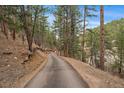 Scenic view of a tree-lined driveway leading to a private mountain retreat at 3065 Piney Ridge Rd, Evergreen, CO 80439
