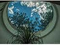Unique round window view of blue sky with trees, creating a bright and inviting ambiance at 4966 Delaware Dr, Larkspur, CO 80118