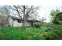 Backyard featuring mature trees, lush lawn, and a private patio area with sliding door access at 6463 Brentwood St, Arvada, CO 80004