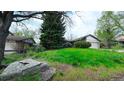 Front lawn with vibrant wildflowers and mature trees frames this charming single-Gathering home at 6463 Brentwood St, Arvada, CO 80004