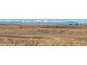 Wide open land with mountain views surrounding the home at 56315 E 74Th Ave, Strasburg, CO 80136