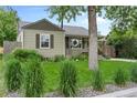 A well-maintained front yard with vibrant green grass and a mature shade tree at 4438 S Elati St, Englewood, CO 80110